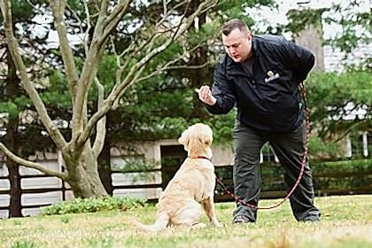 Мы становимся лучше! Идёт обновление сайта